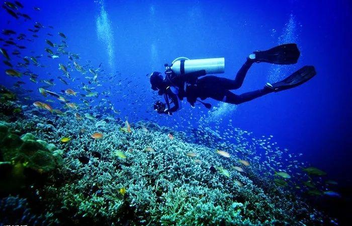 重庆两江新区明月湖智能传感检测技术研发中心揭牌